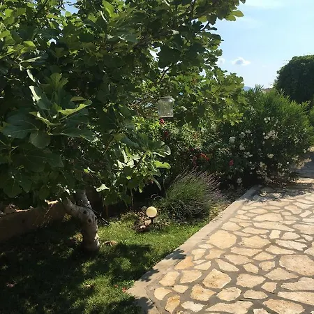 Vlacor 3 *